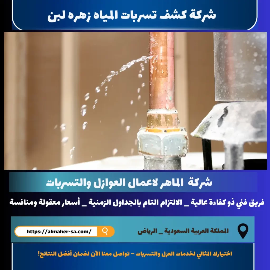 شركة كشف تسربات المياه زهره لبن